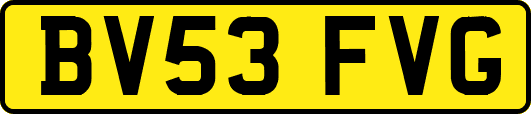 BV53FVG