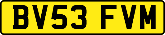 BV53FVM