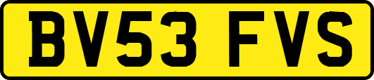 BV53FVS