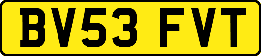 BV53FVT