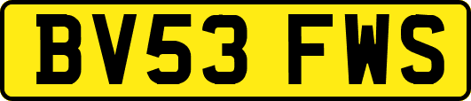 BV53FWS