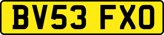 BV53FXO