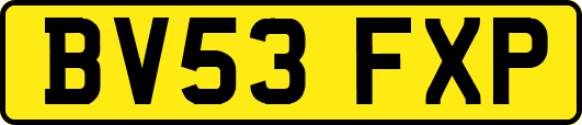 BV53FXP