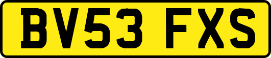 BV53FXS