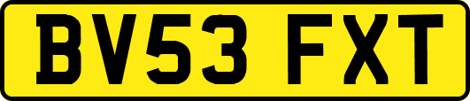 BV53FXT
