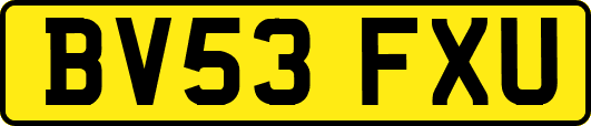 BV53FXU