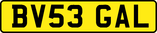 BV53GAL