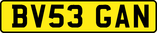 BV53GAN