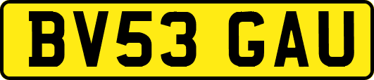BV53GAU