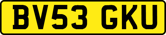 BV53GKU