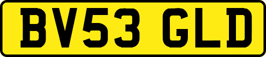 BV53GLD