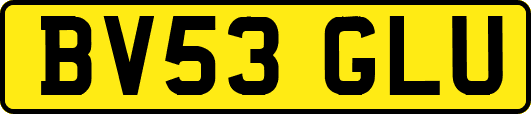 BV53GLU