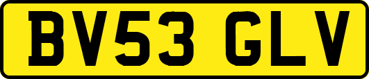 BV53GLV