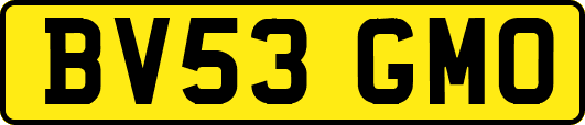 BV53GMO
