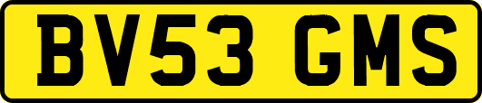BV53GMS