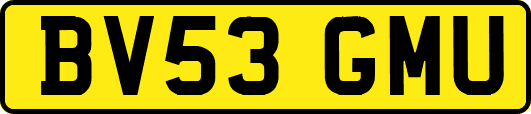 BV53GMU