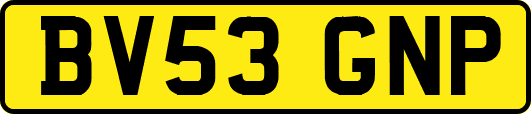 BV53GNP