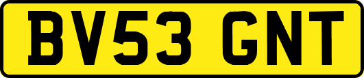 BV53GNT