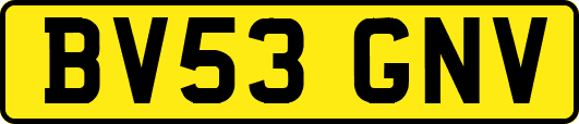 BV53GNV