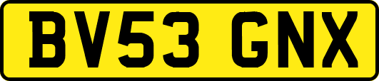 BV53GNX