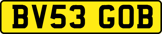 BV53GOB