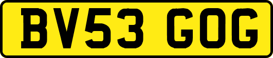BV53GOG