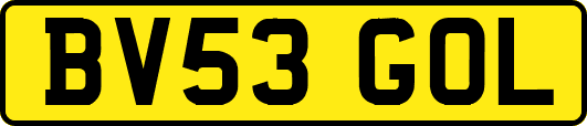 BV53GOL