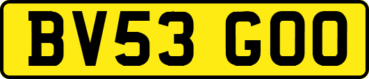 BV53GOO