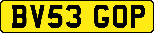 BV53GOP