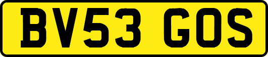 BV53GOS