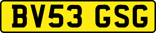 BV53GSG