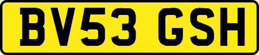 BV53GSH
