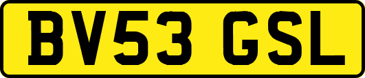 BV53GSL