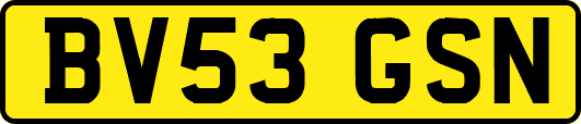 BV53GSN