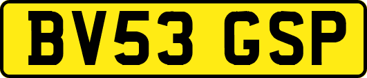 BV53GSP