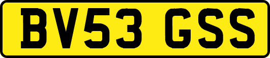 BV53GSS