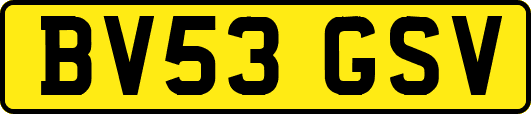 BV53GSV