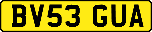 BV53GUA