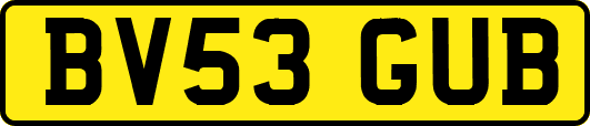 BV53GUB