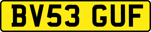 BV53GUF