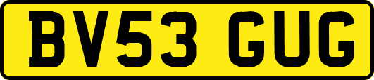 BV53GUG