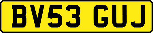 BV53GUJ