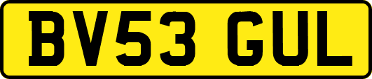 BV53GUL