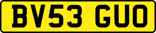 BV53GUO