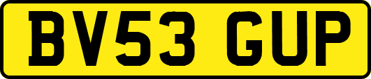 BV53GUP