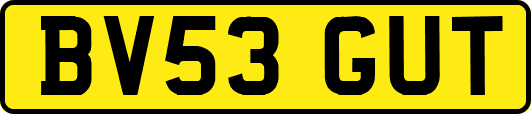BV53GUT