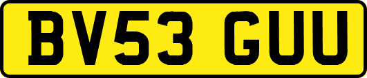 BV53GUU