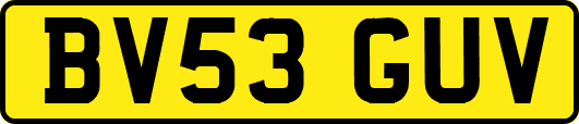BV53GUV