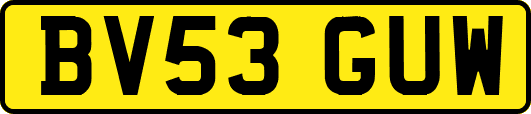 BV53GUW
