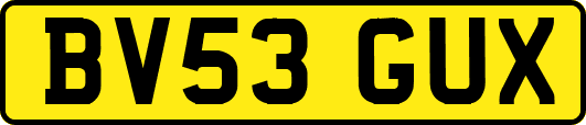 BV53GUX